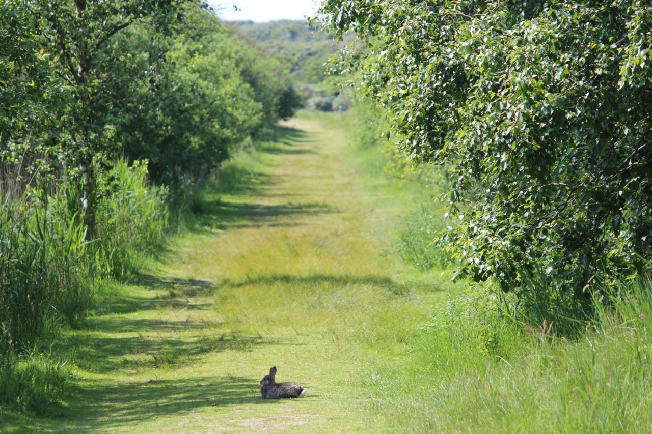 Seevilla Wietjes Whg 7 Baltrum Luaran gambar