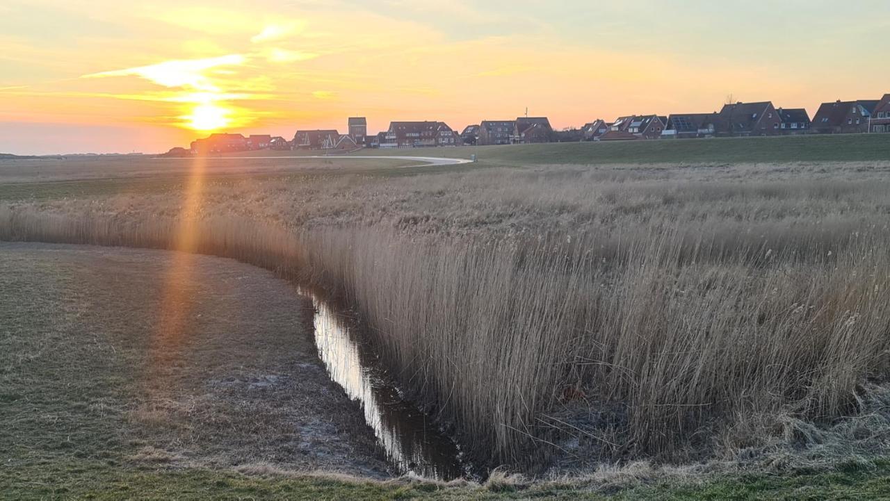 Seevilla Wietjes Whg 7 Baltrum Luaran gambar