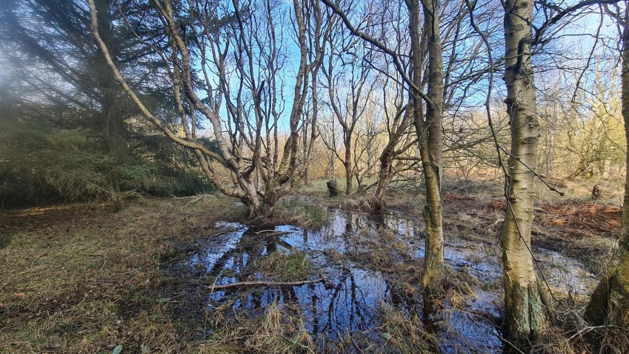 Seevilla Wietjes Whg 7 Baltrum Luaran gambar